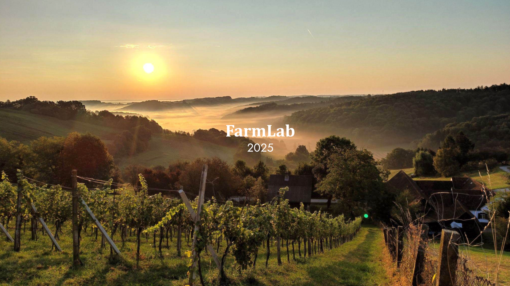 Digital technologies